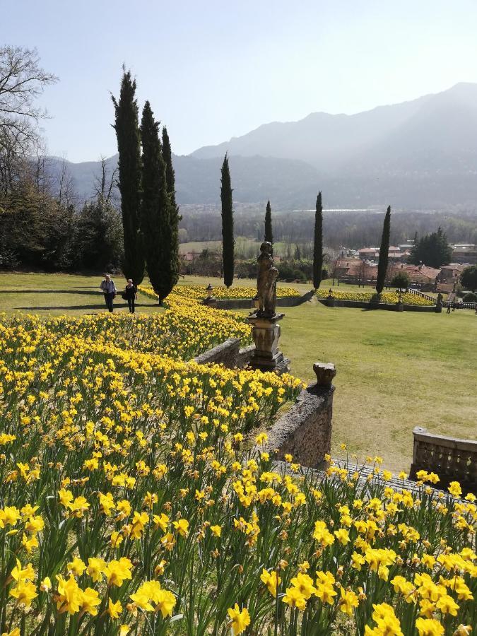 Giardino Lägenhet Porto Valtravaglia Exteriör bild